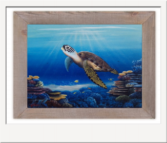 Sea Turtle Over Coral painting